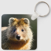 Quintin the Ginger Quokka, Keyring Sleutelhanger (Achterkant)