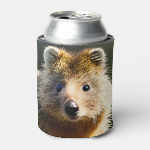 Quintin The Ginger Quokka, Koelbox Blikjeskoeler