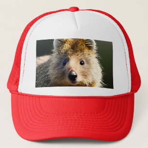 Quintin The Ginger Quokka, Truckers Pet