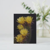 Quintuple of cactus bloemen briefkaart (Staand voorkant)