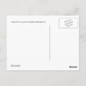 Quintuple of cactus bloemen briefkaart (Achterkant)