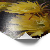 Quintuple of cactus bloemen foto afdruk (Hoek)