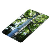 Quipo Tree fotomagneet Magneet (Linkerzijde)
