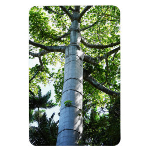 Quipo Tree fotomagneet Magneet