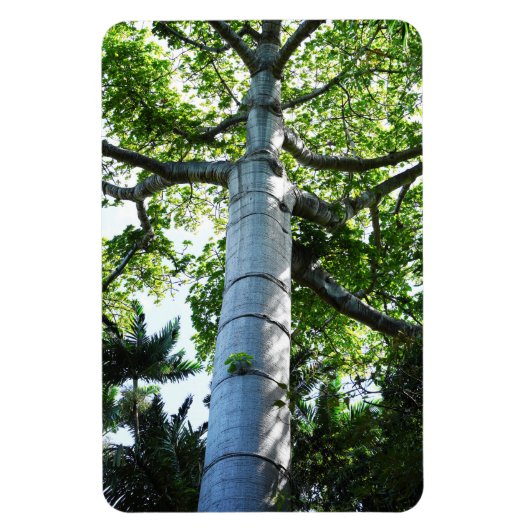 Quipo Tree fotomagneet Magneet (Verticaal)