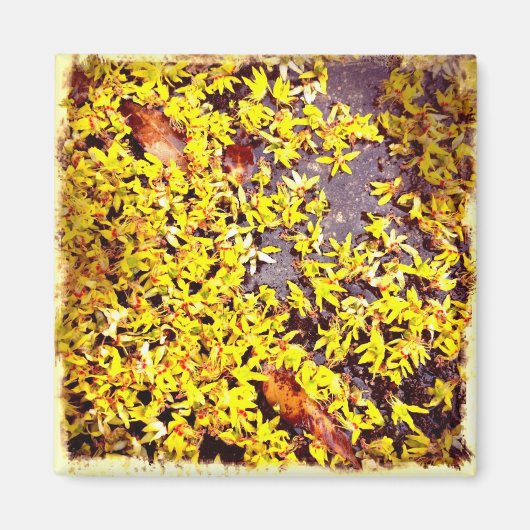 Quirky Art Flowers op het grondfilter Magneet (Voorkant)