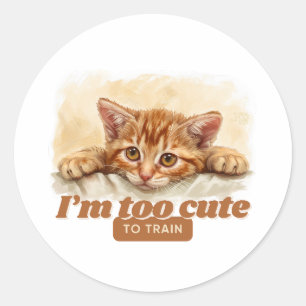 Quirky Cat Gifts voor Dierenvrienden Ronde Sticker