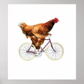 Quirky Chicken Riding Bicycle Poster (Voorkant)