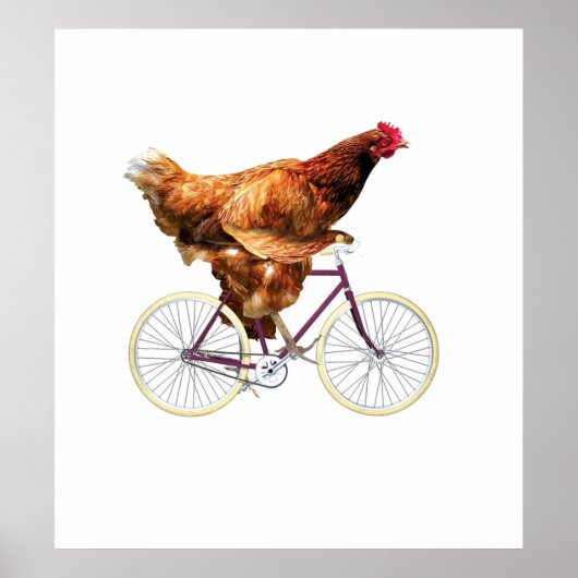 Quirky Chicken Riding Bicycle Poster (Voorkant)