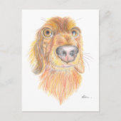 Quirky dachshund briefkaart (Voorkant)