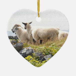 Quirky Design - Schapen in een veld Keramisch Ornament