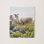 Quirky Design - Schapen in een veld Legpuzzel (Verticaal)