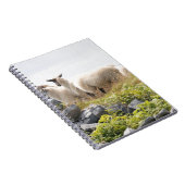 Quirky Design - Schapen in een veld Notitieboek (Rechterzijde)