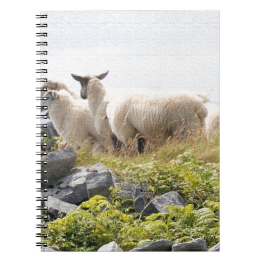Quirky Design - Schapen in een veld Notitieboek (Voorkant)