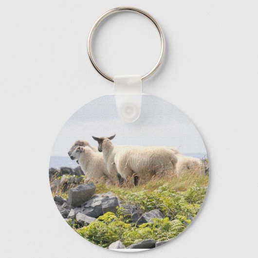 Quirky Design - Schapen in een veld Sleutelhanger (Voorkant)