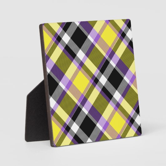 Quirky Eclectische Boho Nonbinary Plaid Pride Vlag Fotoplaat (Voorkant)