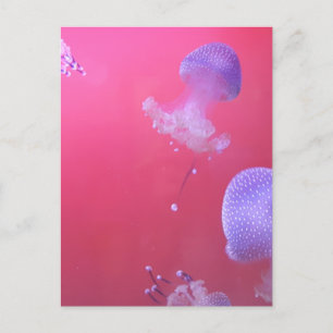 Quirky Jellyfish in the Pink Water Briefkaart
