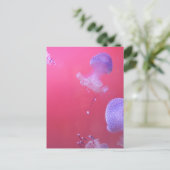 Quirky Jellyfish in the Pink Water Briefkaart (Staand voorkant)