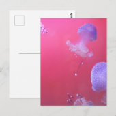 Quirky Jellyfish in the Pink Water Briefkaart (Voorkant / Achterkant)