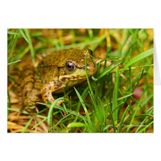 Quirky One-Sided Dialoog met een kleine groene kik (Voorkant Horizontaal)