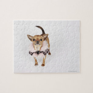 Quirky portret van een Teacup Chihuahua Legpuzzel