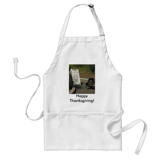 Quirky Thanksgiving Apron Standaard Schort (Voorkant)