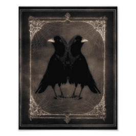Quirky Twin Crows Foto Afdruk