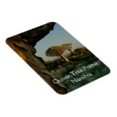 Quiver Tree Forest, Namibië Magnet Magneet (Rechterzijde)