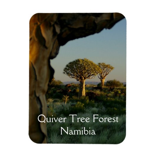 Quiver Tree Forest, Namibië Magnet Magneet (Verticaal)