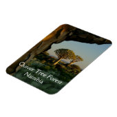 Quiver Tree Forest, Namibië Magnet Magneet (Linkerzijde)