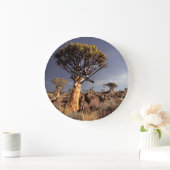 Quiver Trees (Aloe Dichotoma) Grote Klok (Huis)