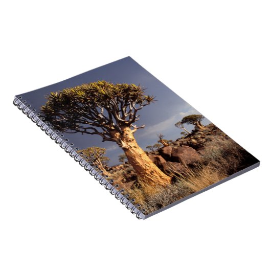 Quiver Trees (Aloe Dichotoma) Notitieboek (Rechterzijde)