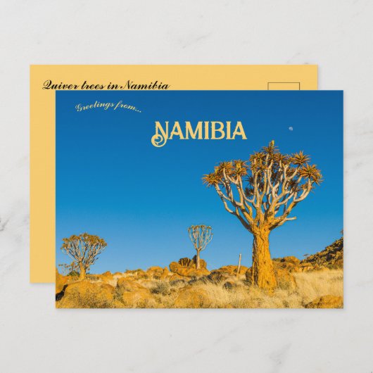 Quiver Trees in Namibië Briefkaart (Voorkant / Achterkant)