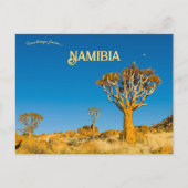 Quiver Trees in Namibië Briefkaart (Voorkant)