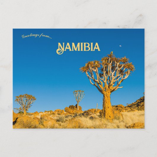Quiver Trees in Namibië Briefkaart (Voorkant)