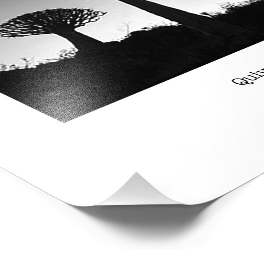 Quiver Trees op Sunset Foto Afdruk (Hoek)