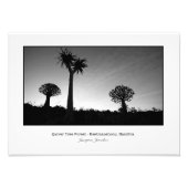 Quiver Trees op Sunset Foto Afdruk (Voorkant)