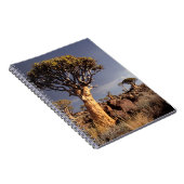 Quiverbomen (Aloe Dichotoma) Notitieboek (Rechterzijde)