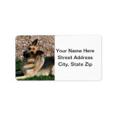 Quizzical German Shepherd Etiket (Voorkant)