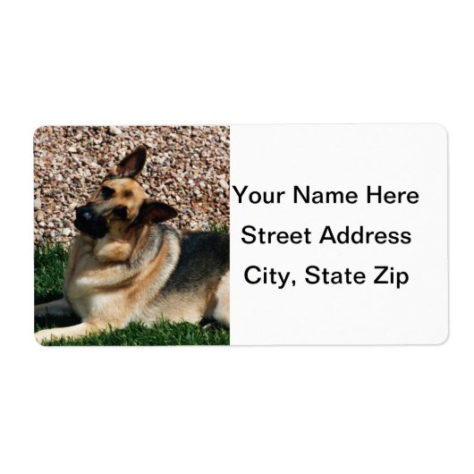 Quizzical German Shepherd Etiket (Voorkant)