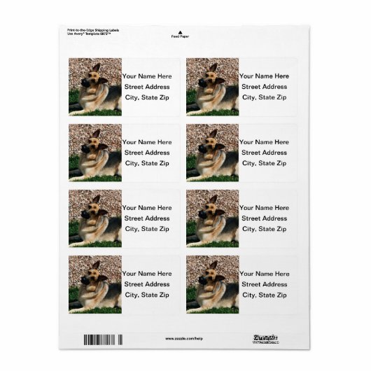Quizzical German Shepherd Etiket (Full Sheet)