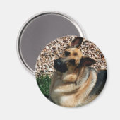 Quizzical German Shepherd Magneet (Voorkant / Achterkant)
