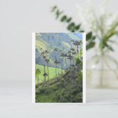 Qunidio wax palms in Cocora Valley Briefkaart (Staand voorkant)