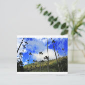 Qunidio wax palms in Cocora Valley of Colombia Briefkaart (Staand voorkant)