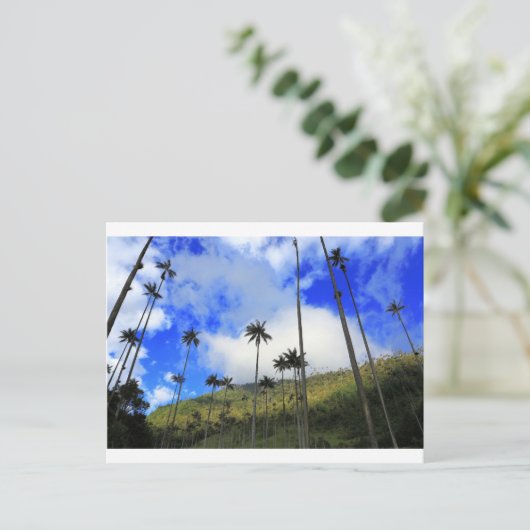 Qunidio wax palms in Cocora Valley of Colombia Briefkaart (Staand voorkant)