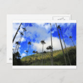 Qunidio wax palms in Cocora Valley of Colombia Briefkaart (Voorkant / Achterkant)