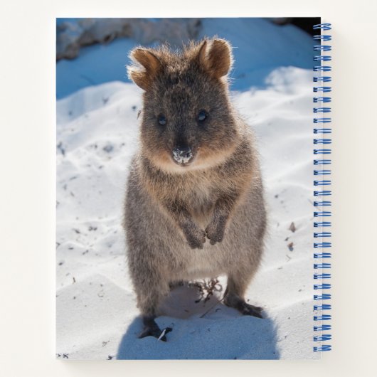 Quokka Australië Persoonlijke Blauwe Kinderen Notitieboek (Achterkant)