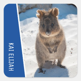 Quokka Cute Animal on the Beach Australia Blue Vierkante Sticker