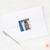 Quokka Cute Animal on the Beach Australia Blue Vierkante Sticker (Envelop)