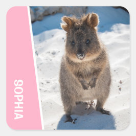 Quokka Cute Animal on the Beach Australia Pink Vierkante Sticker